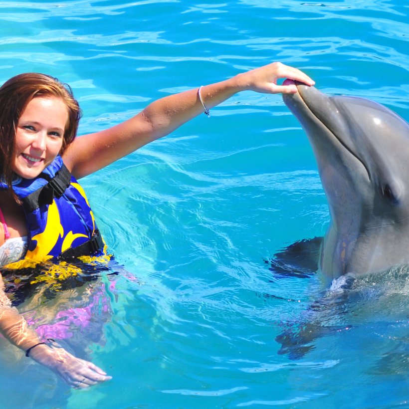Puerto-Vallarta-Tours-Encuentro-con-delfines-aquaventuras-1