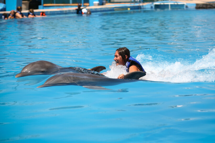 Dolphin-Royal-Swim-Puerto-Vallarta-Tours-001