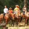 Horseback-Puerto-Vallarta-Tours-Canopy-River-006
