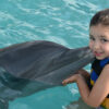 Dolphin-Encounter–Puerto-Vallarta-Tours-002