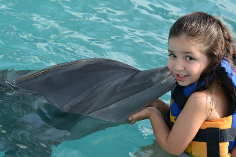 Dolphin-Encounter–Puerto-Vallarta-Tours-002