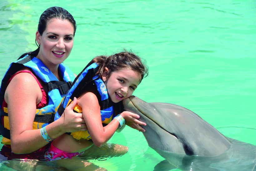 Dolphin-Encounter–Puerto-Vallarta-Tours-003