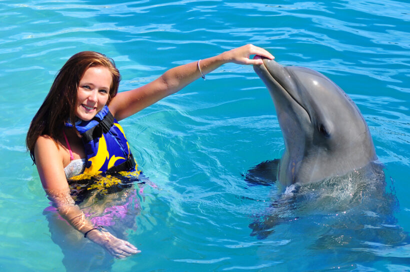Dolphin-Encounter–Puerto-Vallarta-Tours-005