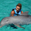Dolphin-Encounter–Puerto-Vallarta-Tours-006