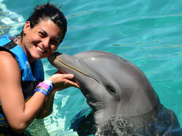 Dolphin Encounter Puerto Vallarta Tours 007 600x450