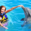 Puerto-Vallarta-Tours-Encuentro-con-delfines-aquaventuras-1