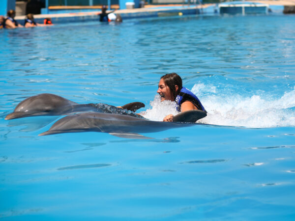 Dolphin Royal Swim Puerto Vallarta Tours 001 600x450