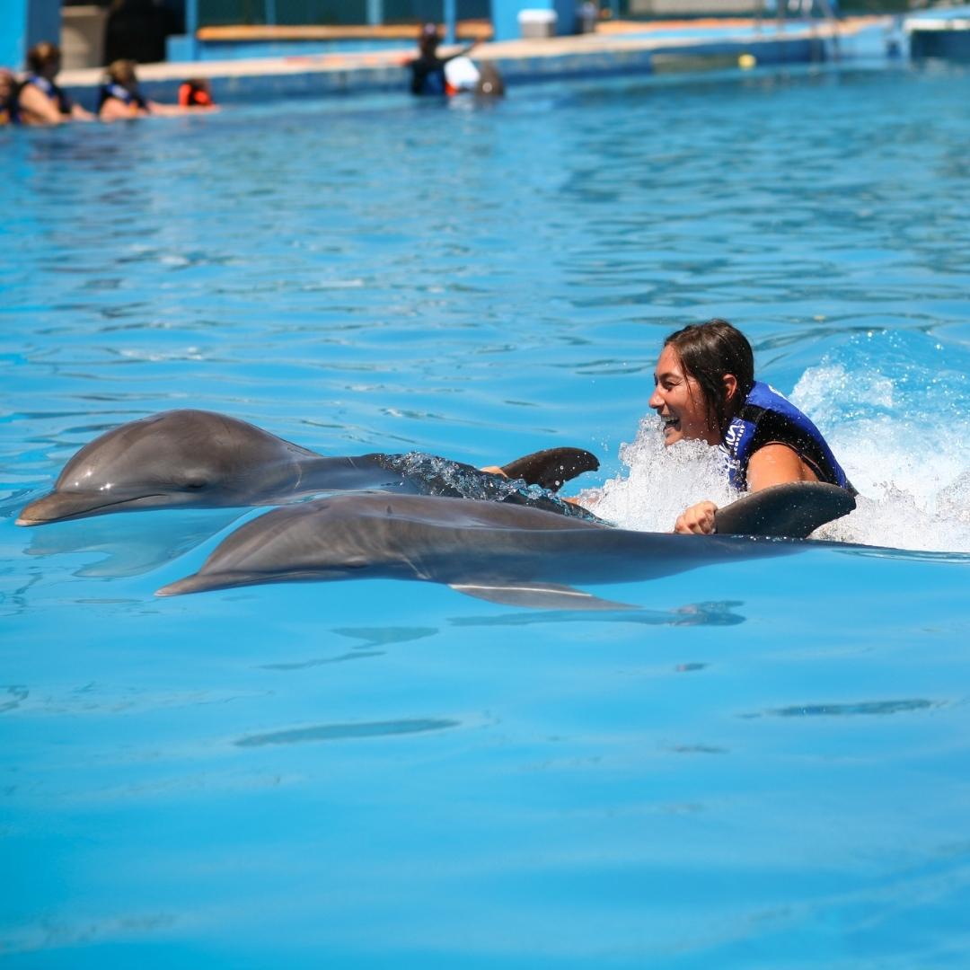Dolphin-Royal-Swim-Puerto-Vallarta
