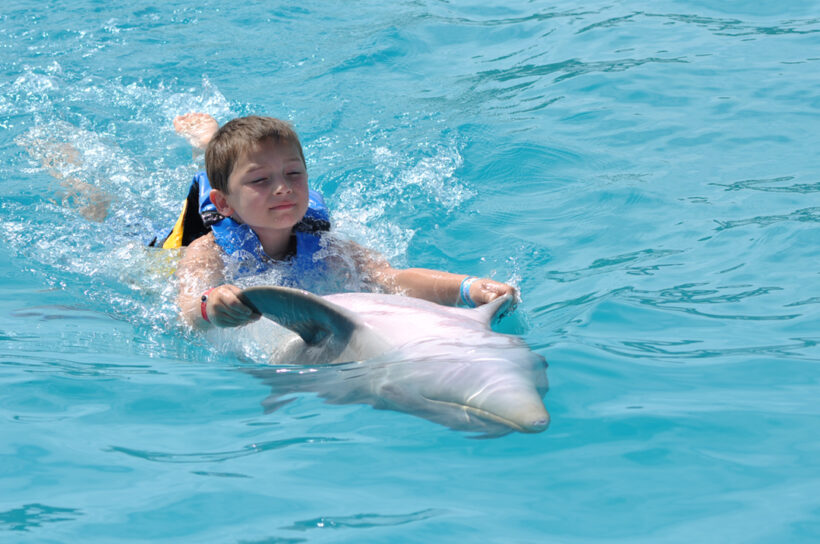 Dolphin-Swim-Puerto-Vallarta-Tours-002