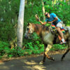 Horseback-Puerto-Vallarta-Tours-Punta-Mita-River-006