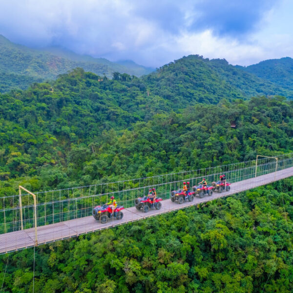 Jorullo bridge  600x600